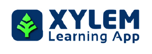 Xylem